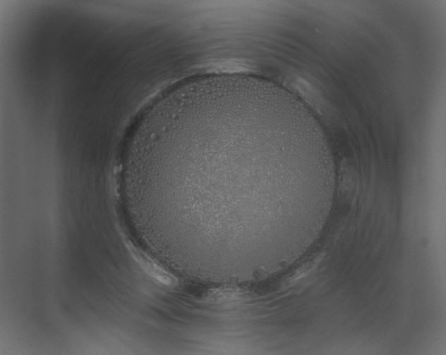 X0000073480351200607311206