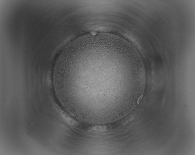 X0000073480353200607311206