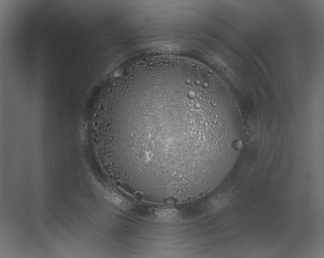 X0000073480355200607311206