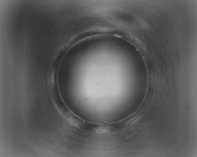 X0000073480358200607311206