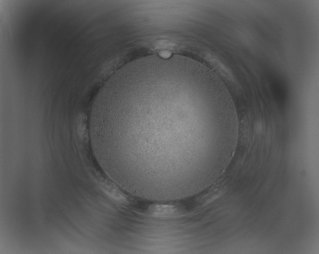 X0000073480361200607311206