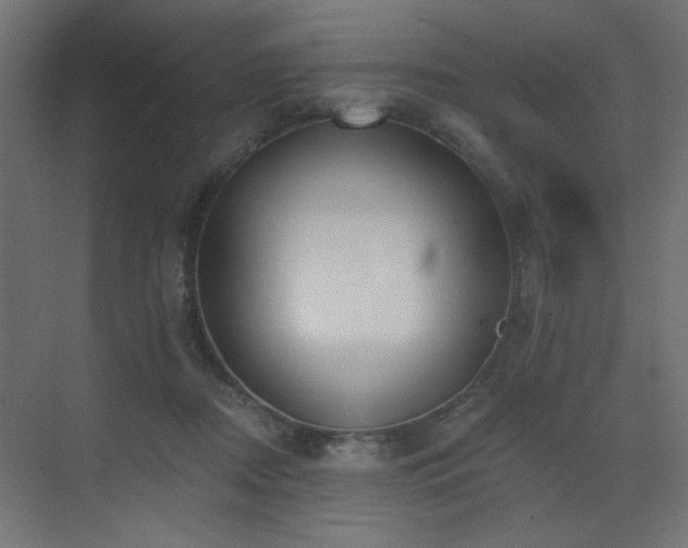 X0000073480362200607311206