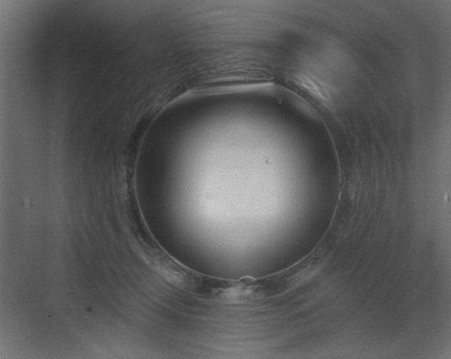 X0000073480366200607311206