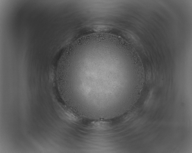 X0000073480367200607311206