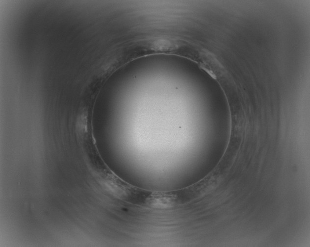 X0000073480368200607311206