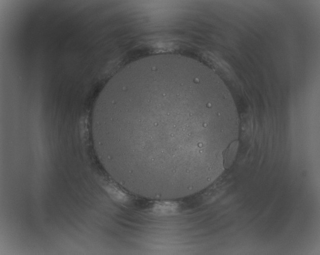 X0000073480369200607311206