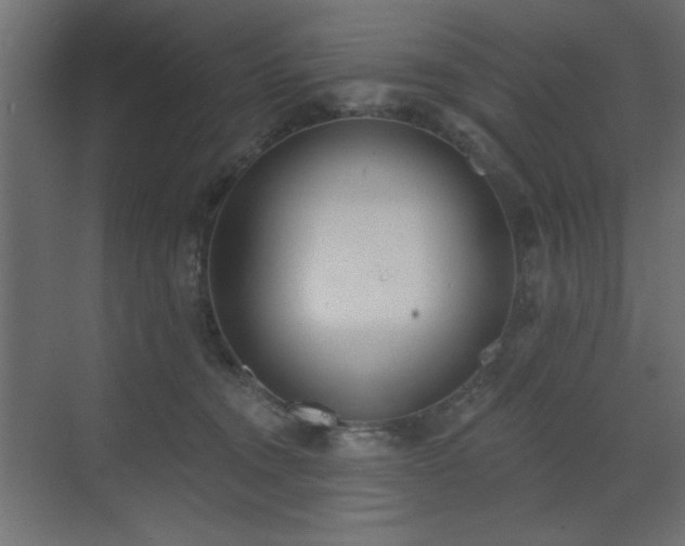 X0000073480372200607311207