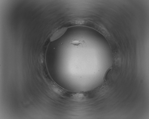 X0000073480374200607311207