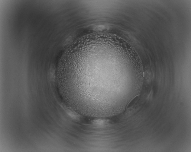 X0000073480375200607311207