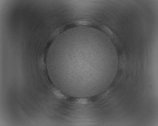 X0000073480377200607311207