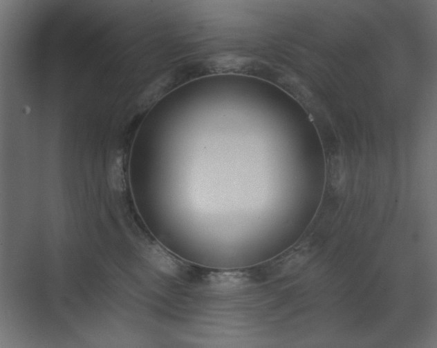 X0000073480378200607311207