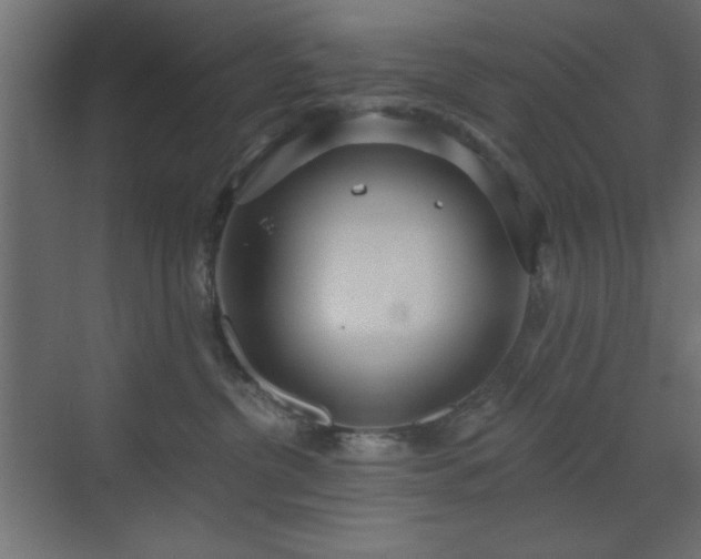 X0000073480380200607311207