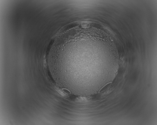 X0000073480381200607311207