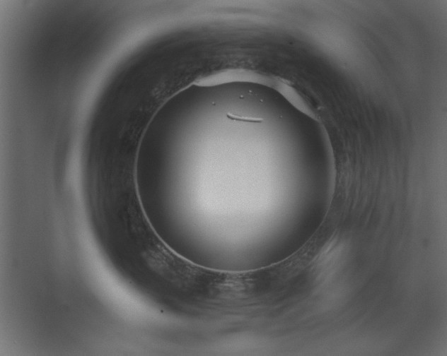 X0000073480383200607311207