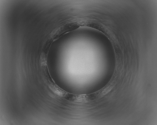 X0000073480384200607311207