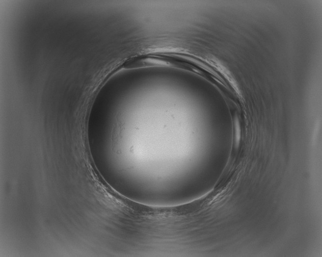 X0000073480385200607311206