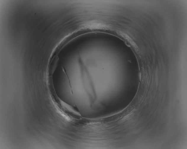 X0000073480391200607311206