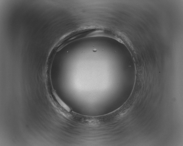 X0000073480395200607311206