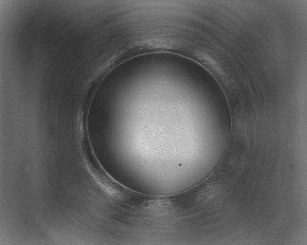 X0000073480398200607311206