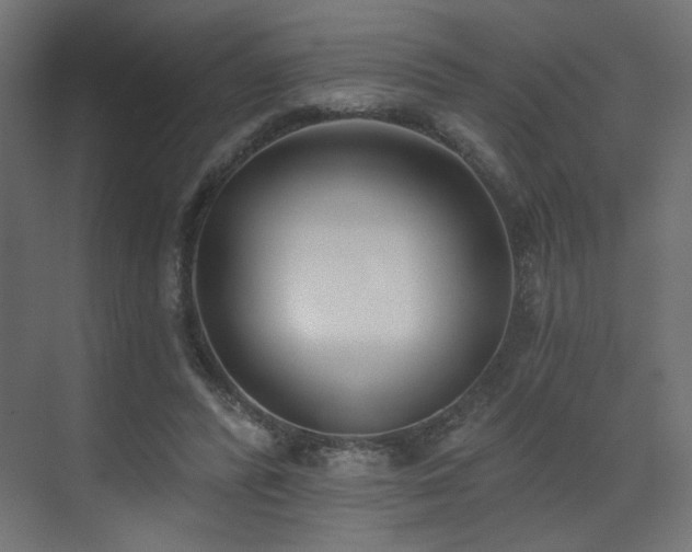 X0000073480400200607311206