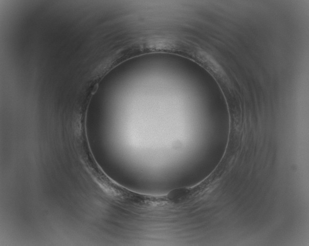 X0000073480401200607311206