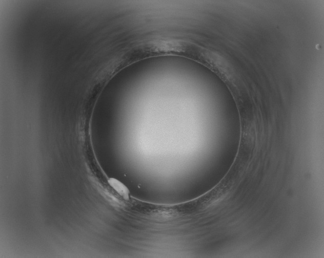 X0000073480402200607311206