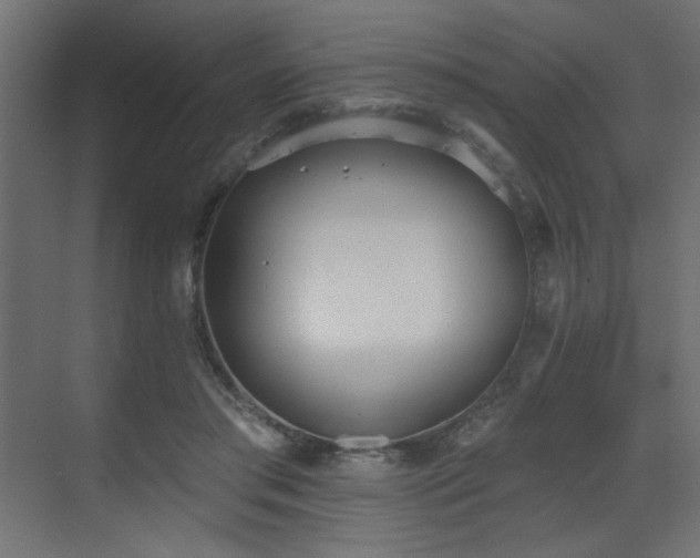 X0000073480405200607311206