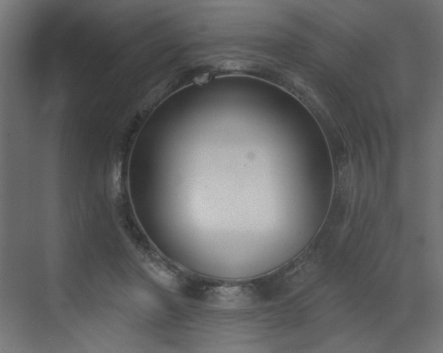 X0000073480406200607311206