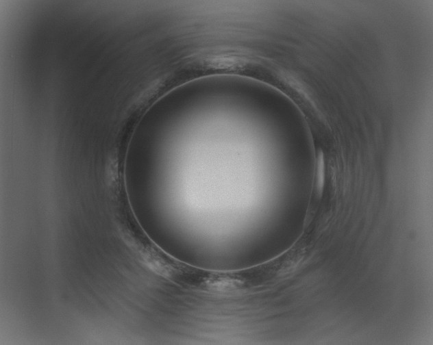 X0000073480407200607311206