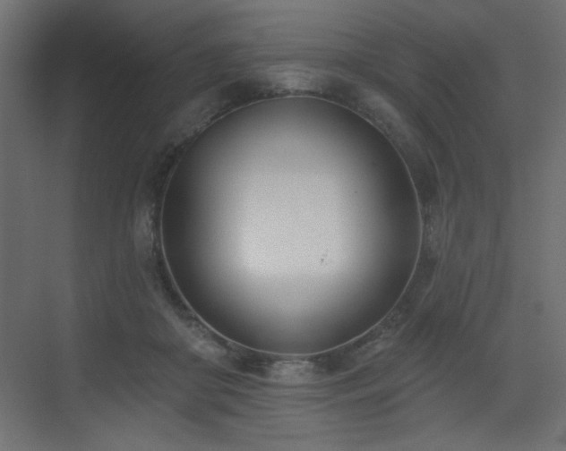 X0000073480410200607311205