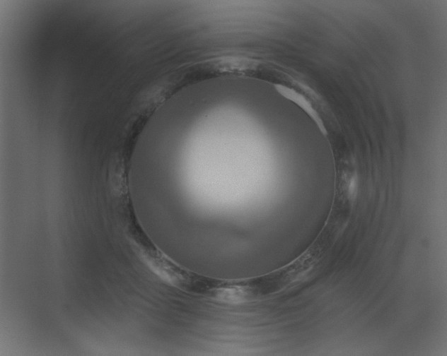 X0000073480411200607311205