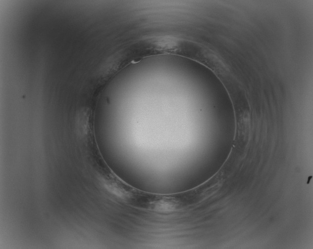 X0000073480412200607311205