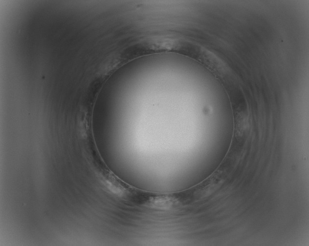 X0000073480414200607311205