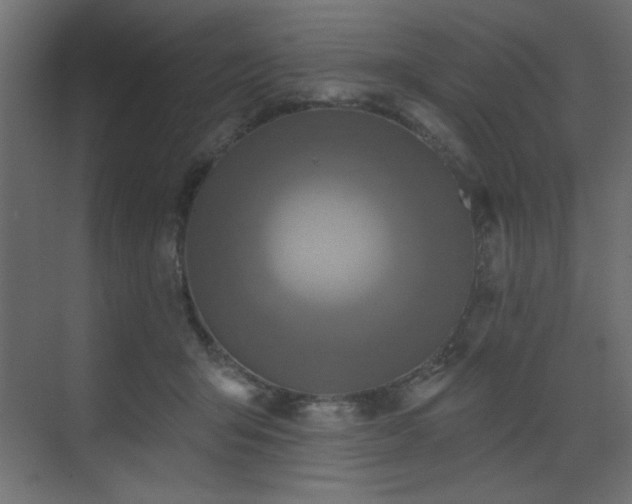 X0000073480415200607311205