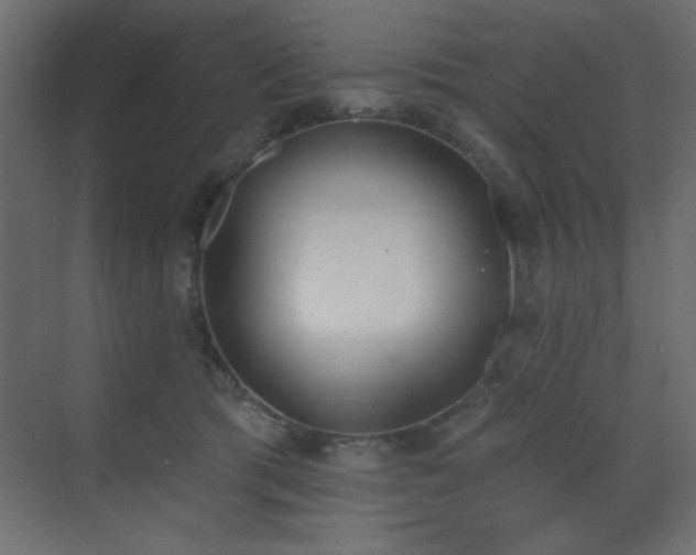 X0000073480417200607311205