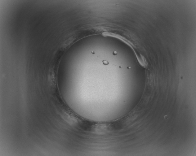 X0000073480418200607311205