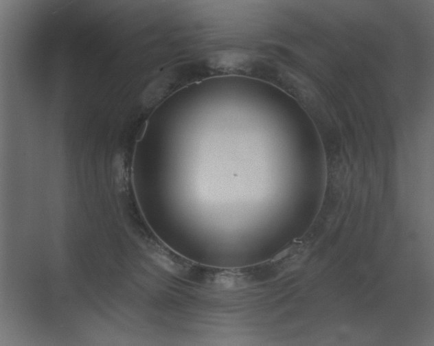 X0000073480420200607311205