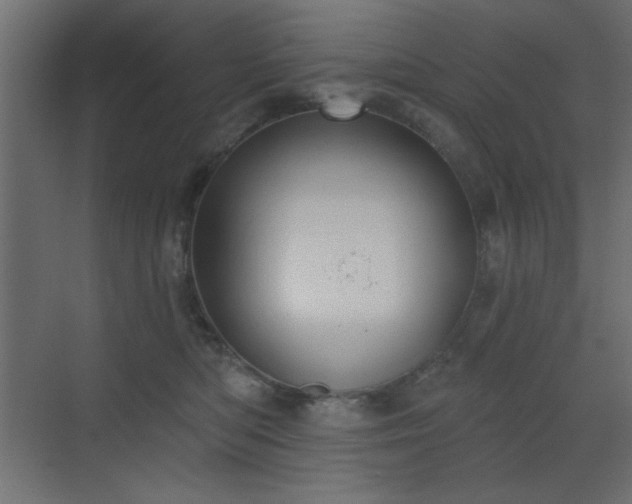 X0000073480422200607311205