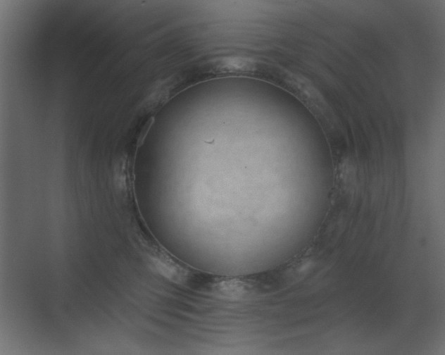 X0000073480423200607311205