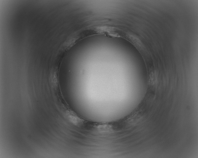 X0000073480426200607311205