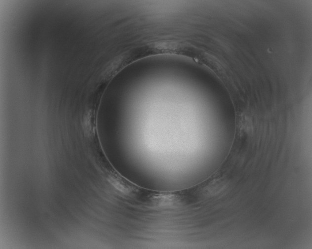 X0000073480428200607311205