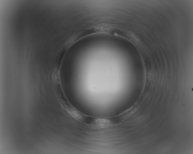 X0000073480429200607311205