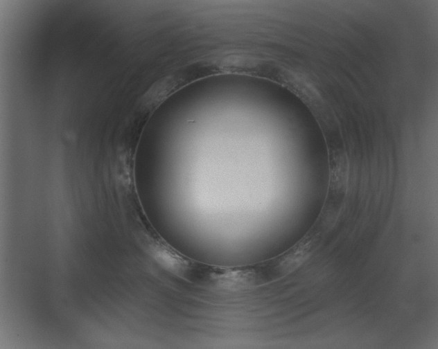 X0000073480430200607311205