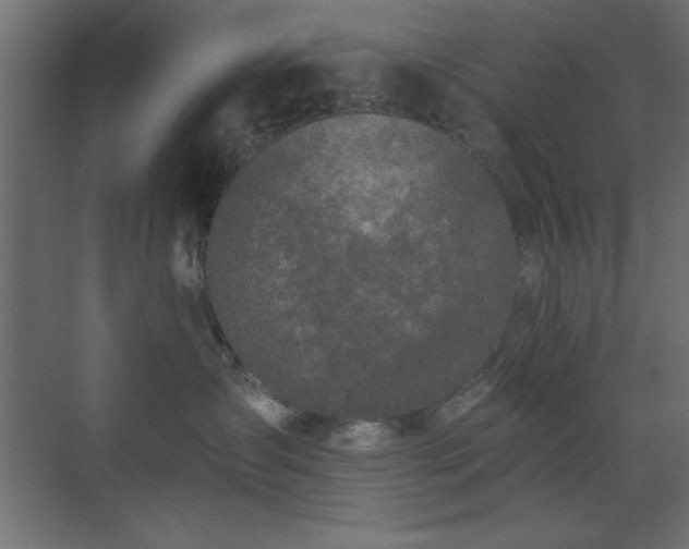 X0000073480431200607311205