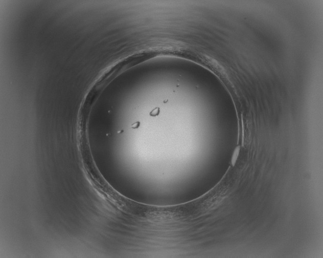 X0000073480435200607311204