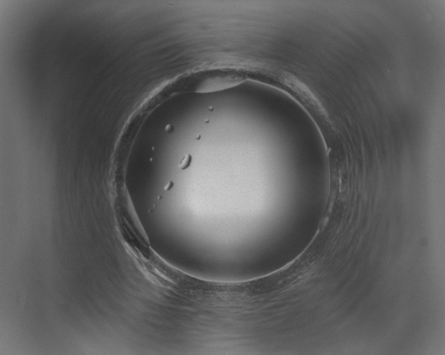 X0000073480436200607311204