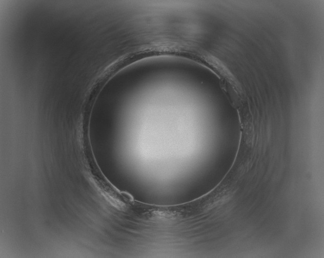 X0000073480442200607311204