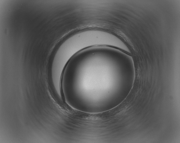 X0000073480444200607311204