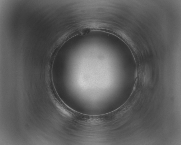 X0000073480445200607311205