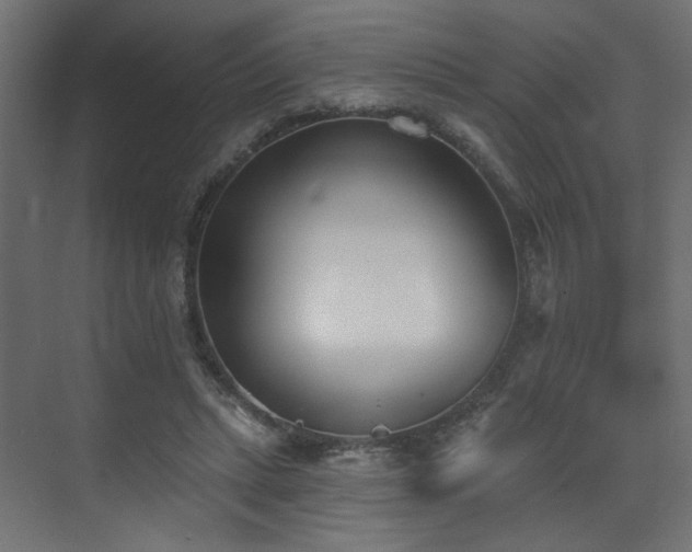 X0000073480447200607311205